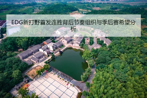 EDG新打野首发连胜背后节奏组织与季后赛希望分析